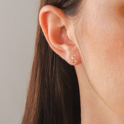 brinco-ouro-dezoito-kilates-cachorro-vazado-modelo-joiasgold