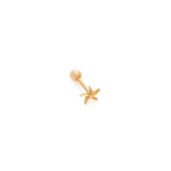piercing-ouro-dezoito-kilates-orelha-estrela-mar-joiasgold